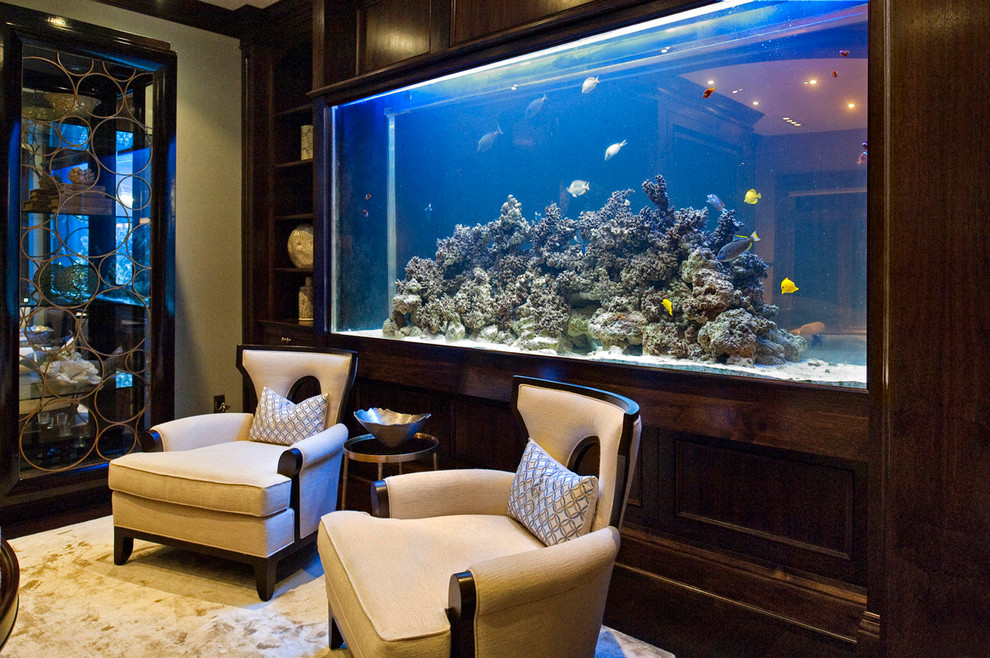 Морской аквариум для дома